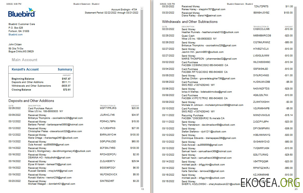 Modèle Word et PDF de relevé bancaire USA Bluebird, 3 pages, version 2
